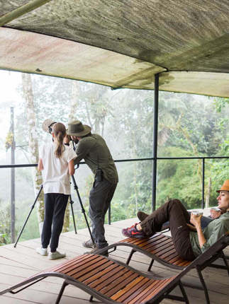 The observation deck