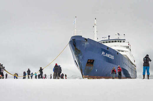 Plancius Antarctica