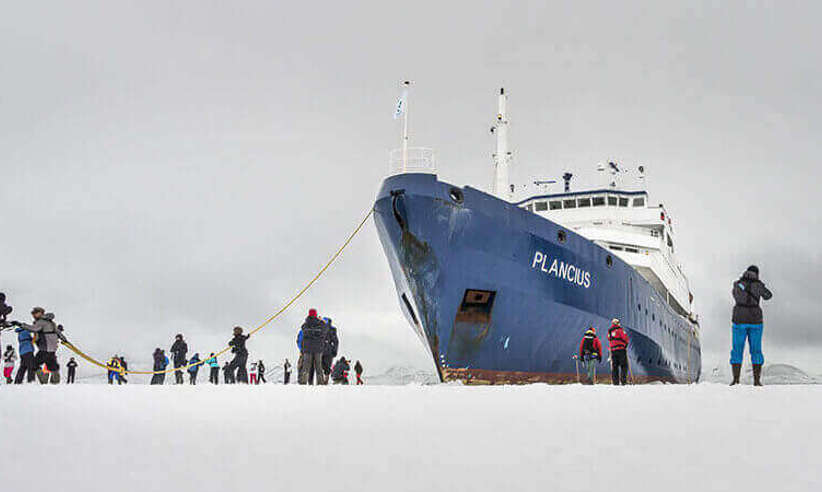 Plancius Antarctica