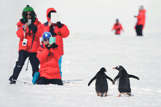 Magical moments await