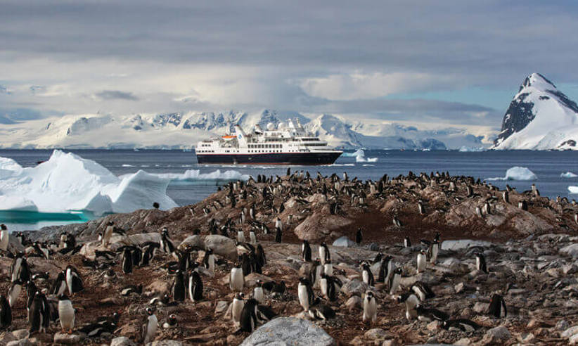 Penguins in Antarctica