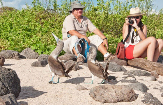Get close to the amazing wildlife