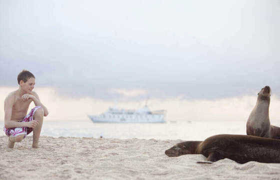 Getting up close to sea lions