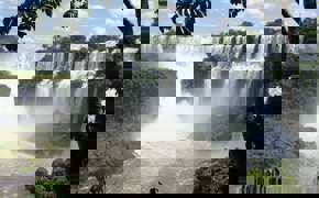 Panoramic view of Iguazu Falls surrounded by lush rainforest.