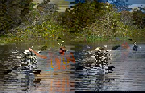 Guests paddle through lush rainforest waterways on a guided kayaking adventure in the Amazon.