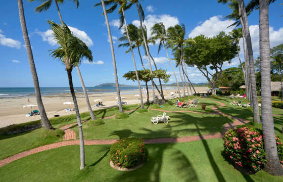 Tamarindo Beach garden with palm trees and ocean view in Costa Rica.