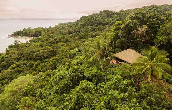 An eco-lodge at Lapa Rios peeks through dense rainforest, offering sweeping views of the Osa Peninsula coastline. 