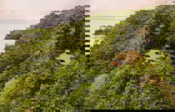 An eco-lodge at Lapa Rios peeks through dense rainforest, offering sweeping views of the Osa Peninsula coastline.