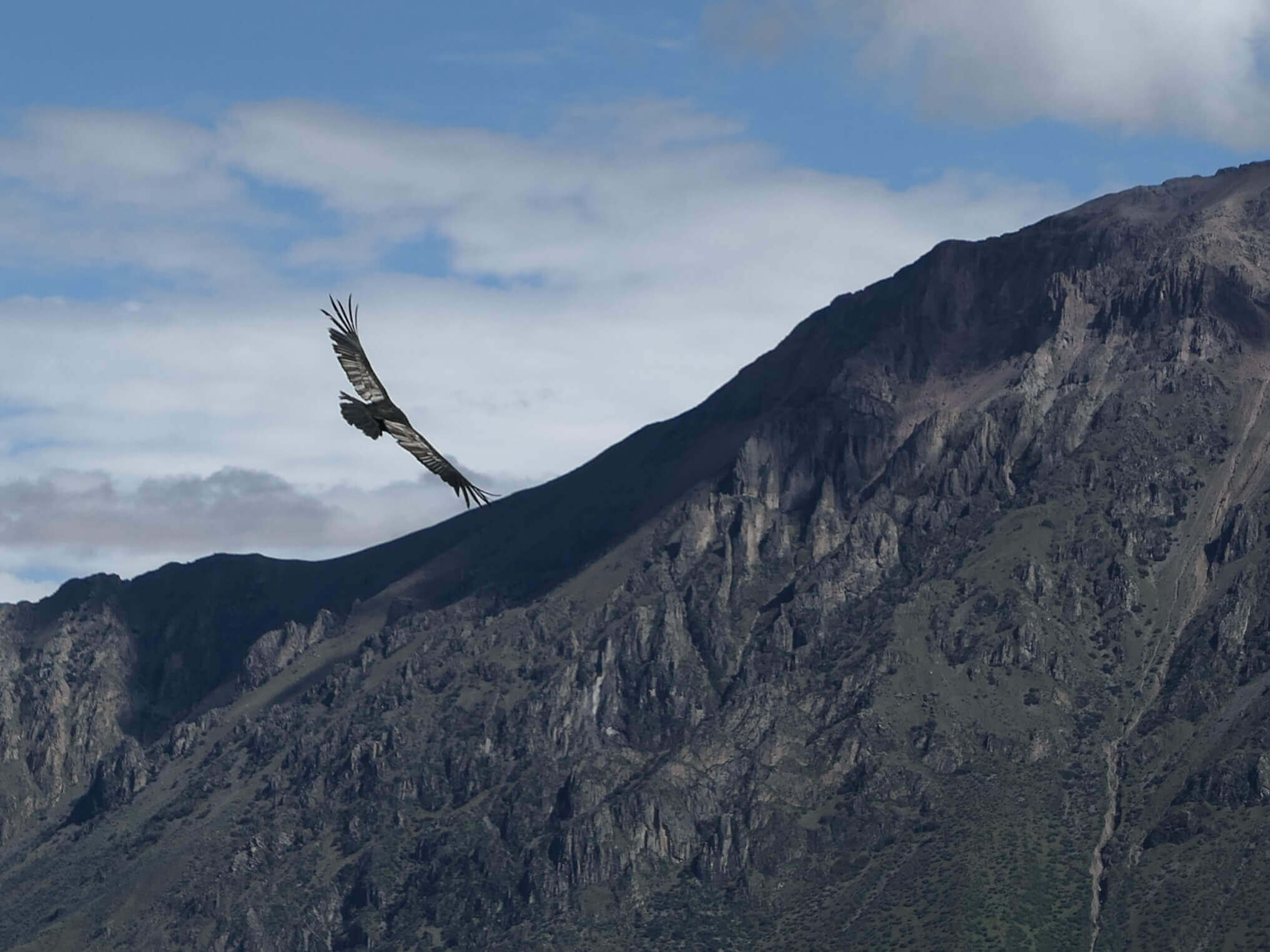 Colca Canyon