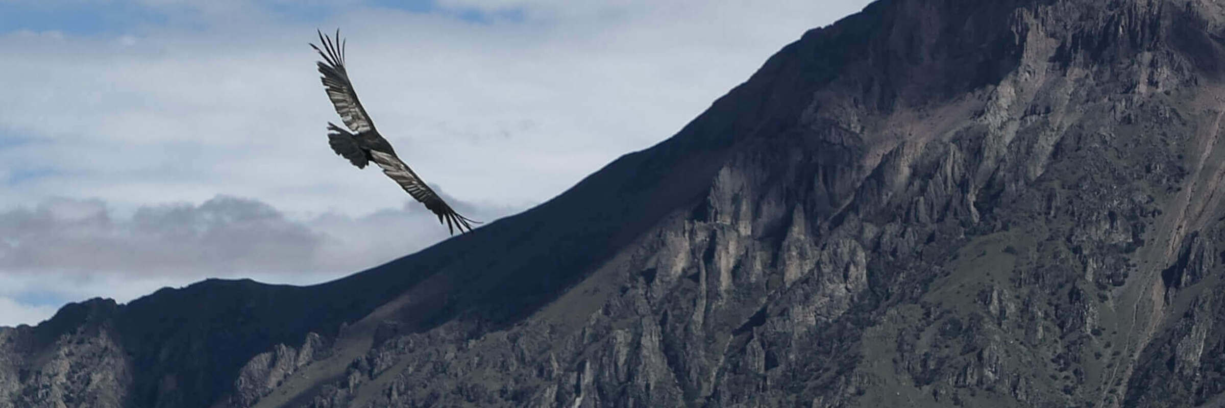Colca Canyon