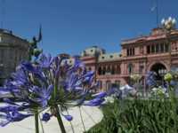Blooming flowers frame the Casa Rosada, Argentina's iconic presidential palace. 