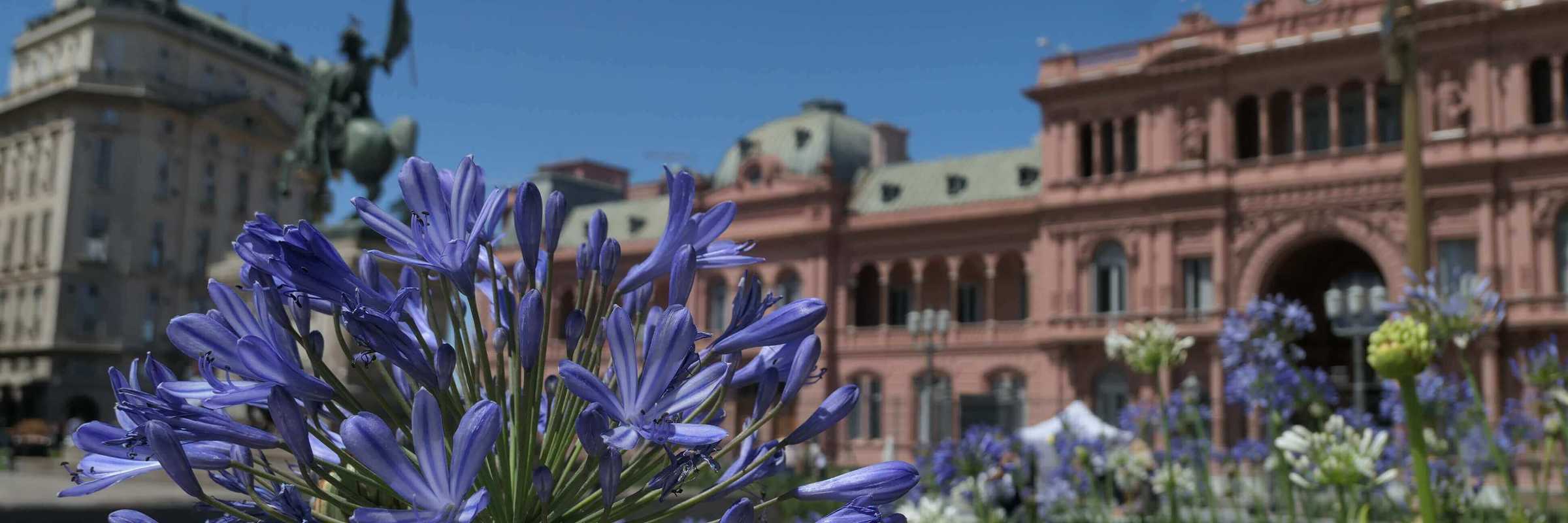 Blooming flowers frame the Casa Rosada, Argentina's iconic presidential palace. 