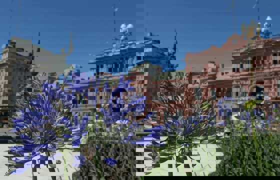 Blooming flowers frame the Casa Rosada, Argentina's iconic presidential palace.