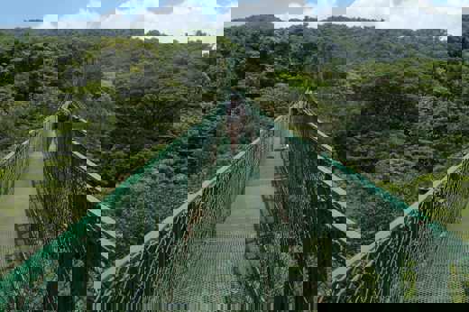 A person walking across a long green hanging bridge above lush forest canopy in Monteverde, Costa Rica. 