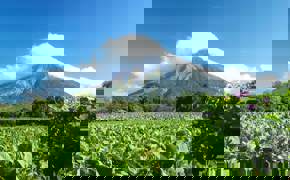 Masaya