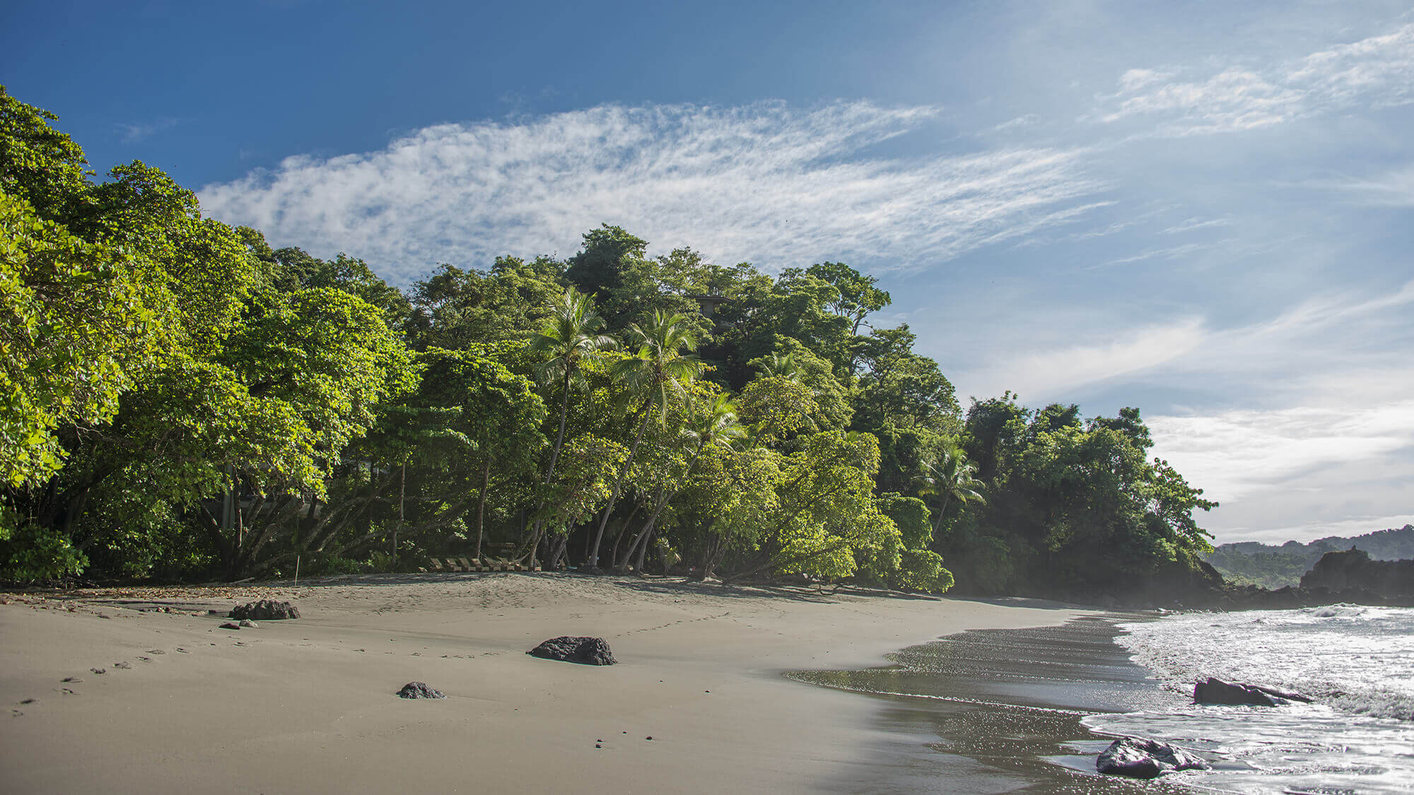 Peaceful beach scene with tropical forest and gentle waves at Manuel Antonio National Park. 