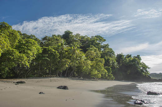 Peaceful beach scene with tropical forest and gentle waves at Manuel Antonio National Park. 