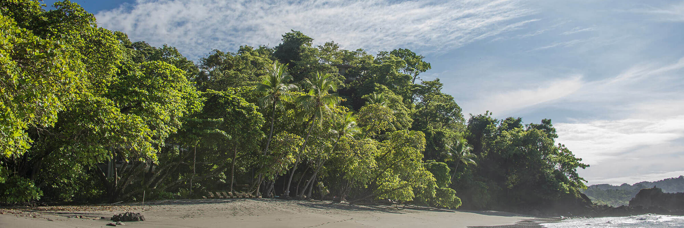 Peaceful beach scene with tropical forest and gentle waves at Manuel Antonio National Park. 