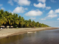 Wide sandy beach lined with palm trees and shaded loungers under a bright blue sky at Playa Esterillos, Costa Rica. 