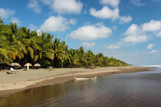 Wide sandy beach lined with palm trees and shaded loungers under a bright blue sky at Playa Esterillos, Costa Rica. 