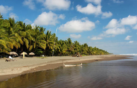 Wide sandy beach lined with palm trees and shaded loungers under a bright blue sky at Playa Esterillos, Costa Rica. 