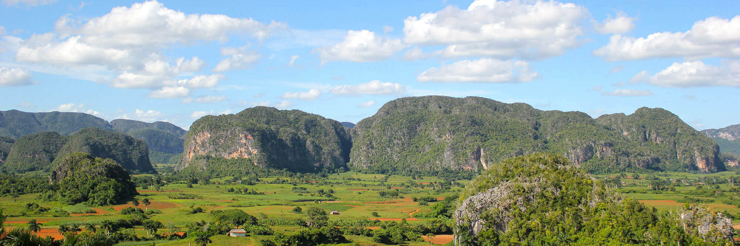 Vinales