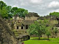 Tikal Site 