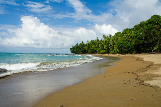 Golden sand beach with turquoise waves and lush rainforest on the coast of Costa Rica. 