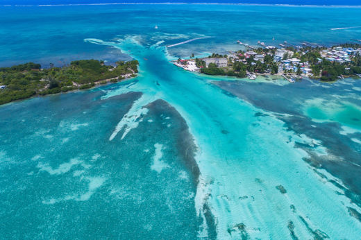 Barrier Reef