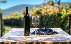 A bottle of red wine, a glass, and a cluster of grapes sit on a vineyard table with Chilean vines and hills in the background. 