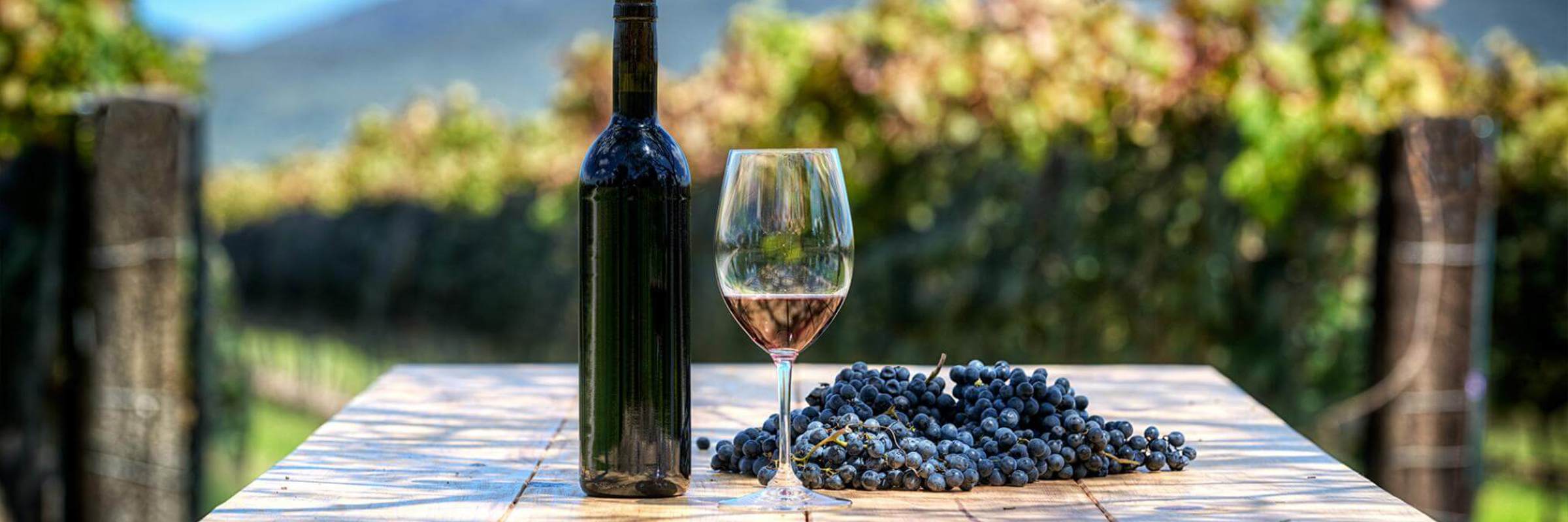 A bottle of red wine, a glass, and a cluster of grapes sit on a vineyard table with Chilean vines and hills in the background. 