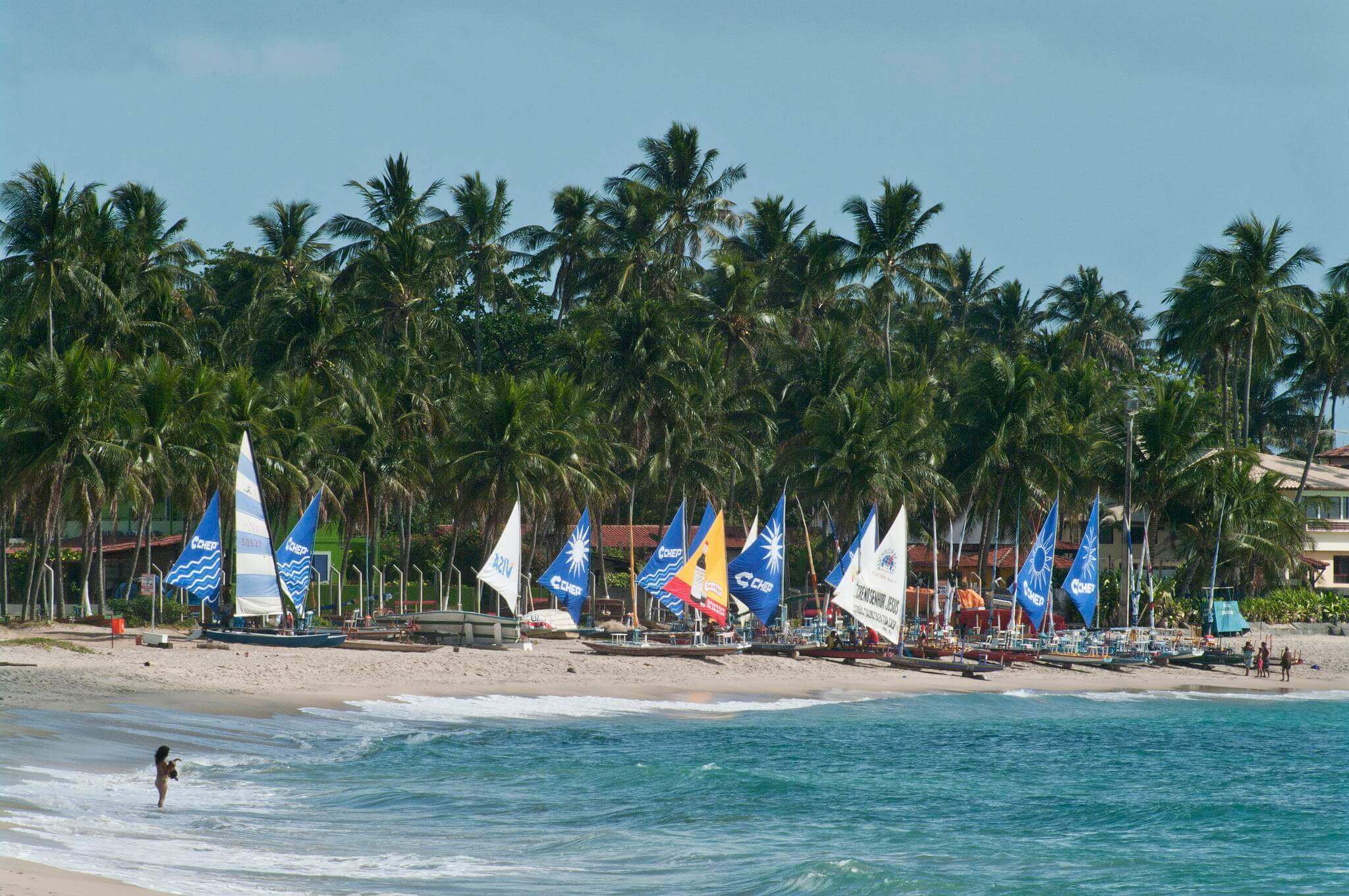 Colourful jangada sailboats on the shore of Porto de Galinhas, Brazil, backed by palm trees and turquoise waters. 