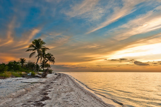 Sunset over the sandy beaches and palm trees of Holbox Island, Yucatan, Mexico, with dramatic evening sky. 