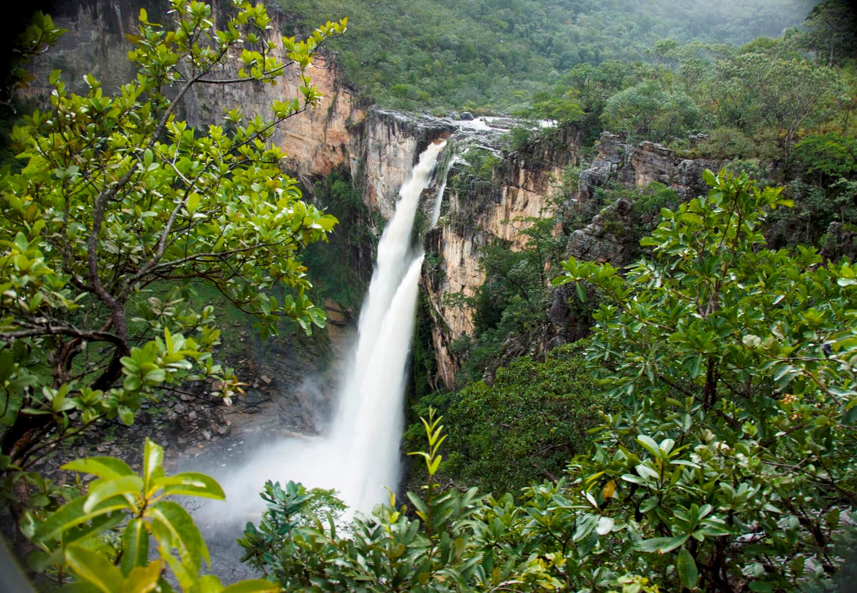 Tall waterfall surrounded by lush green forest in Chapada dos Veadeiros National Park, central Brazil. 