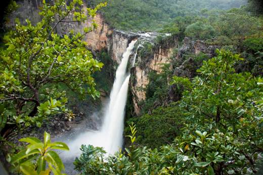 Tall waterfall surrounded by lush green forest in Chapada dos Veadeiros National Park, central Brazil. 
