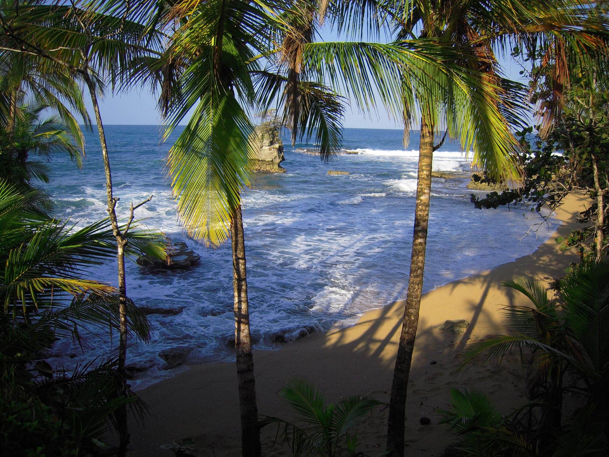 Palm-fringed sandy beach in Manzanillo, Mexico, with waves, rocky shoreline, and lush tropical vegetation. 