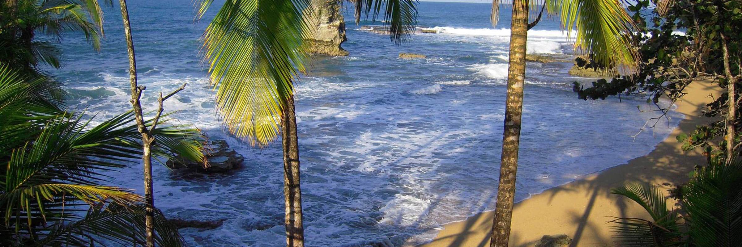 Palm-fringed sandy beach in Manzanillo, Mexico, with waves, rocky shoreline, and lush tropical vegetation. 