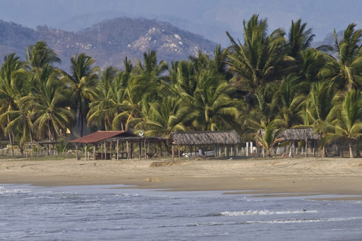 Scenic beach view with palm trees and distant hills at Zihuatanejo, a laid-back fishing village on Mexico's Pacific Coast. 