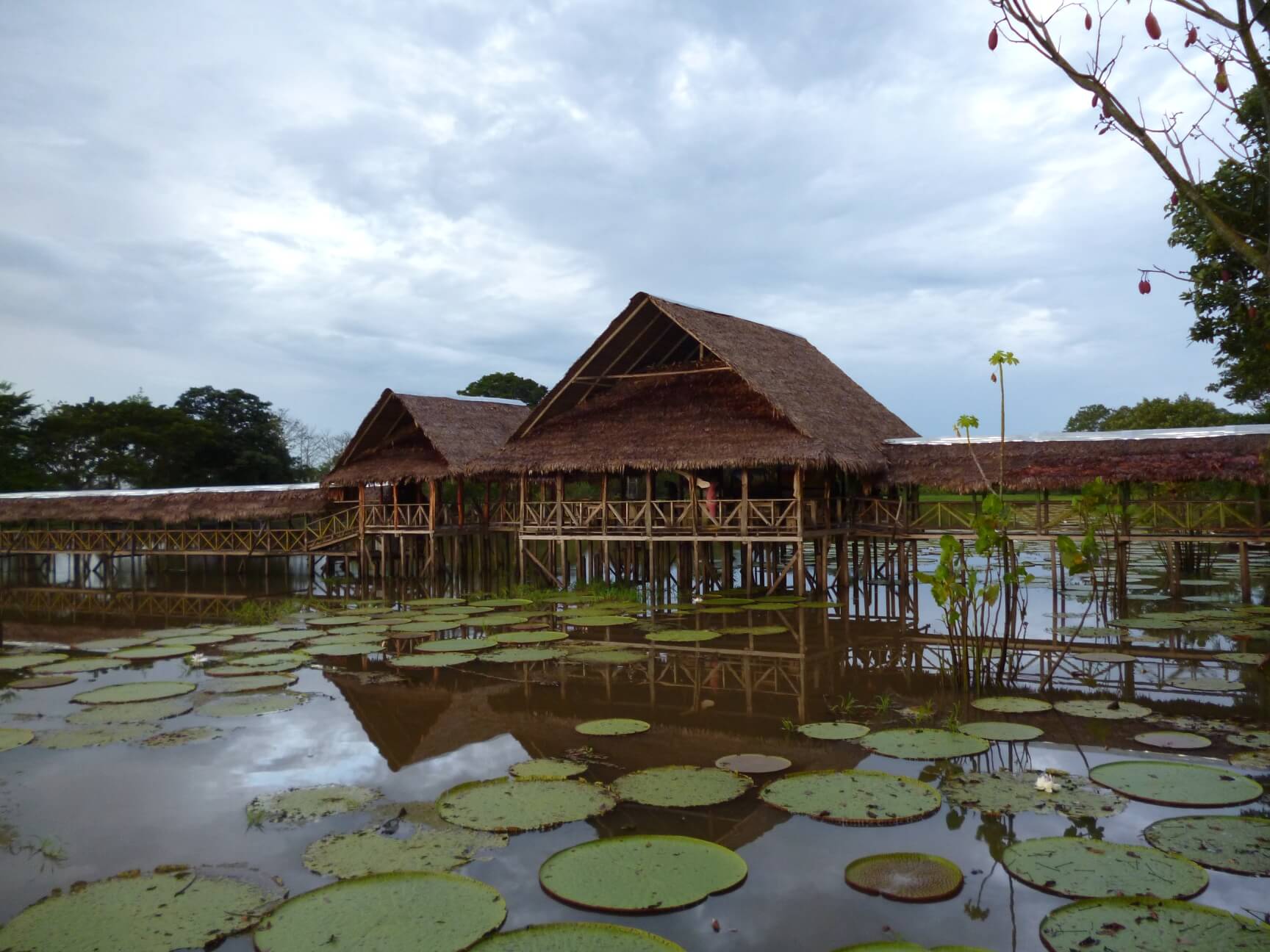Lodge outside Tabatinga