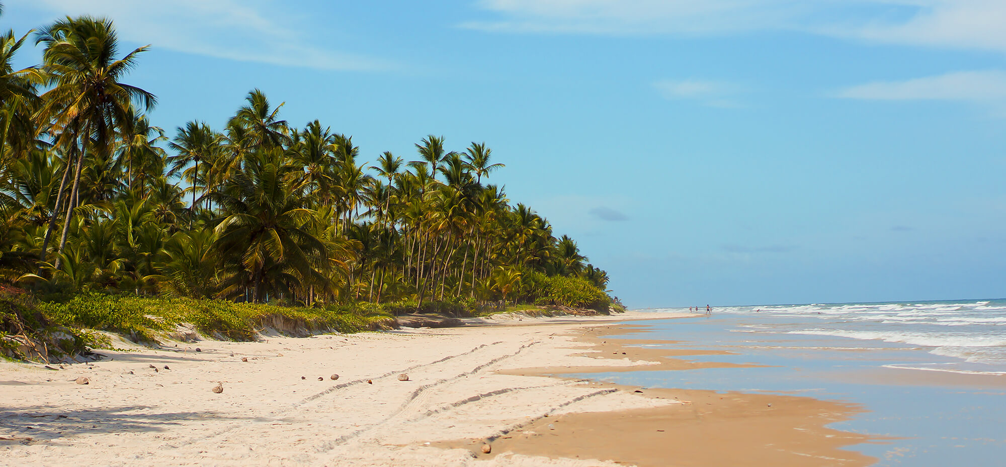 Beach of Ilhéus & Itacaré