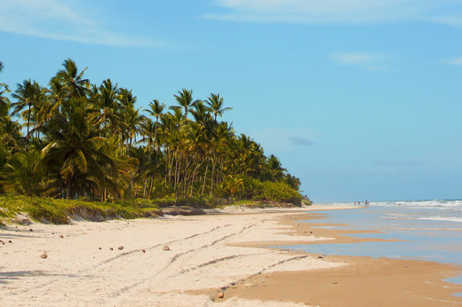 Beach of Ilhéus & Itacaré