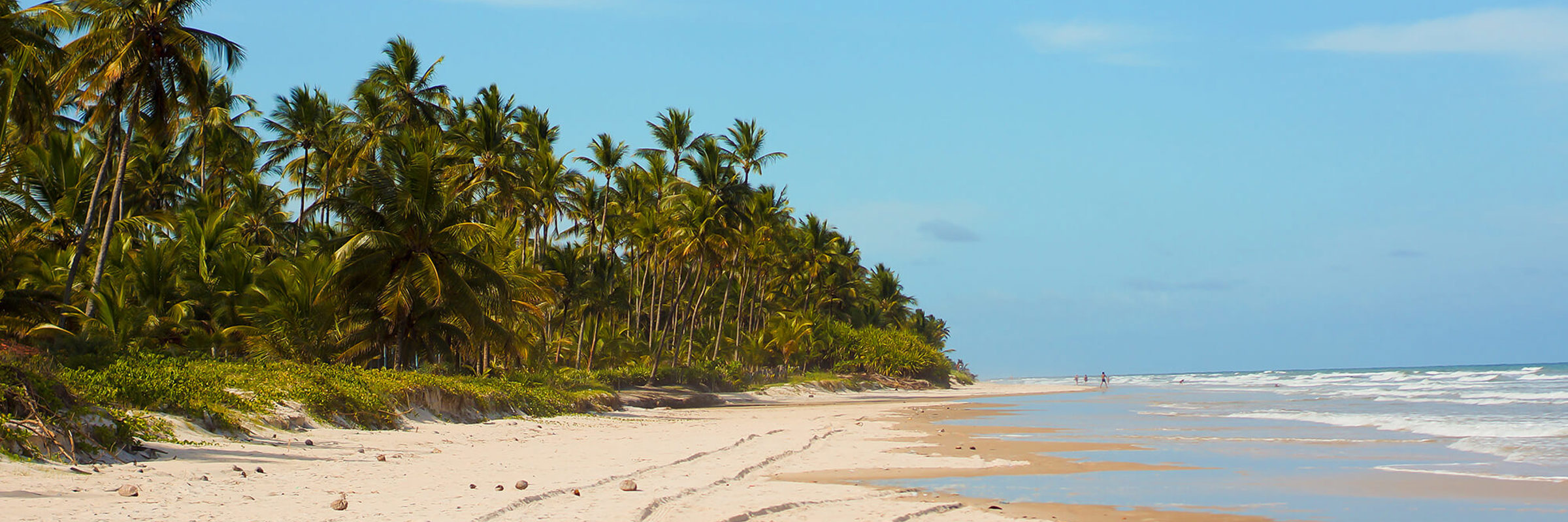 Beach of Ilhéus & Itacaré