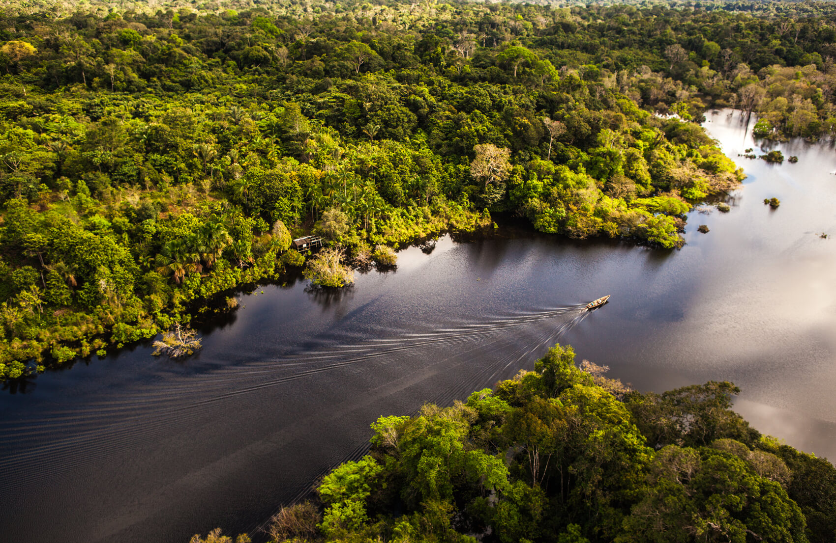 South America - Brazil, Aerial view of a boat cruising through the Amazon surrounded by lush rainforest.  