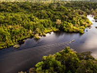 South America - Brazil, Aerial view of a boat cruising through the Amazon surrounded by lush rainforest.  