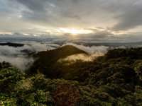 Bellavista Cloud Forest