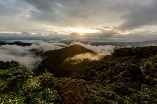 Bellavista Cloud Forest