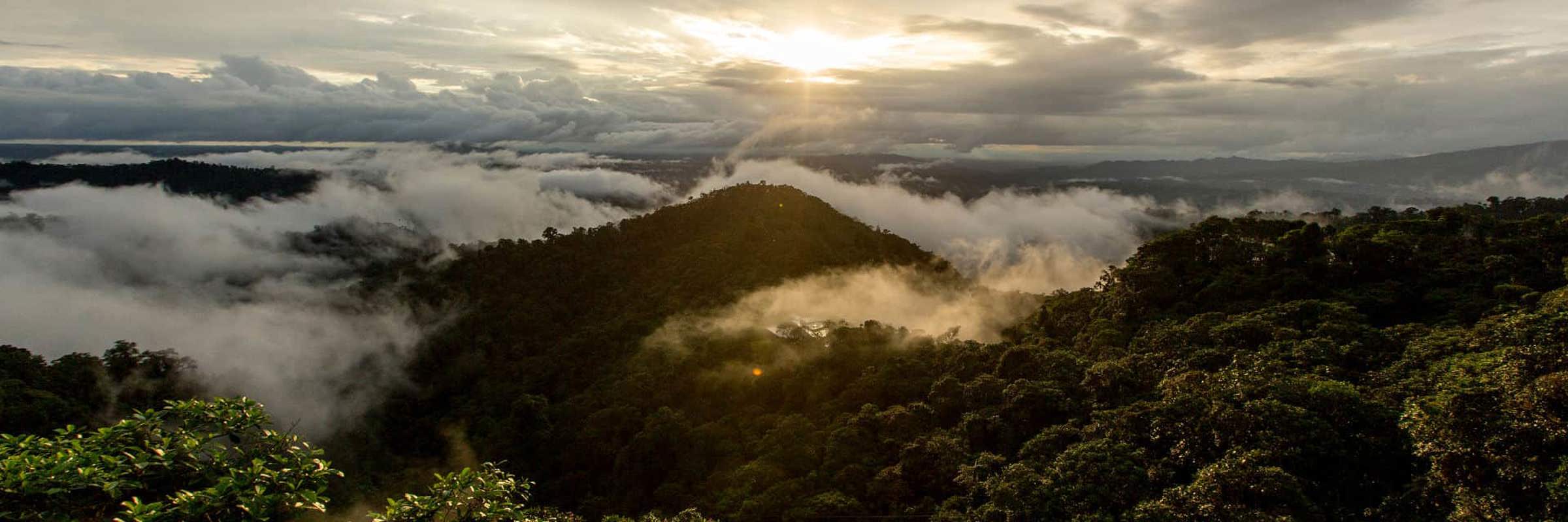 Bellavista Cloud Forest