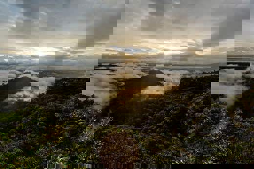 Bellavista Cloud Forest