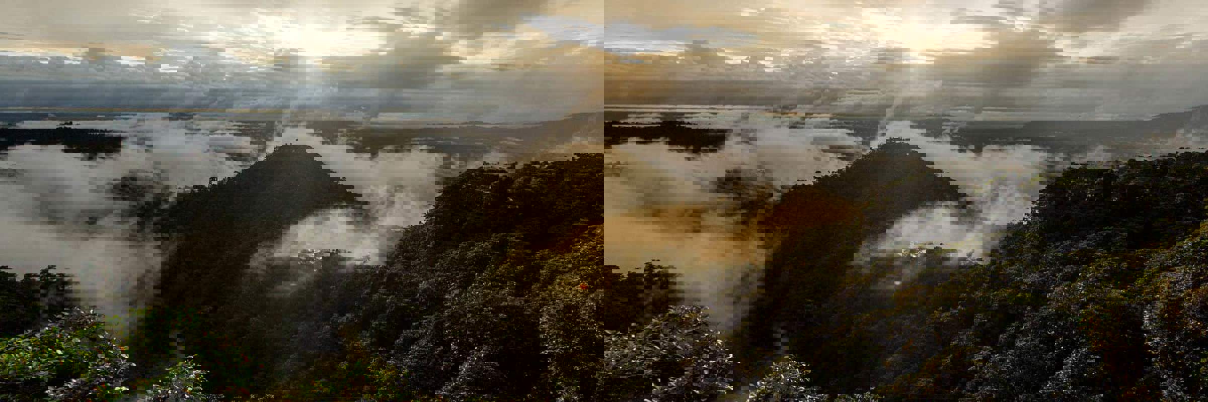 Bellavista Cloud Forest