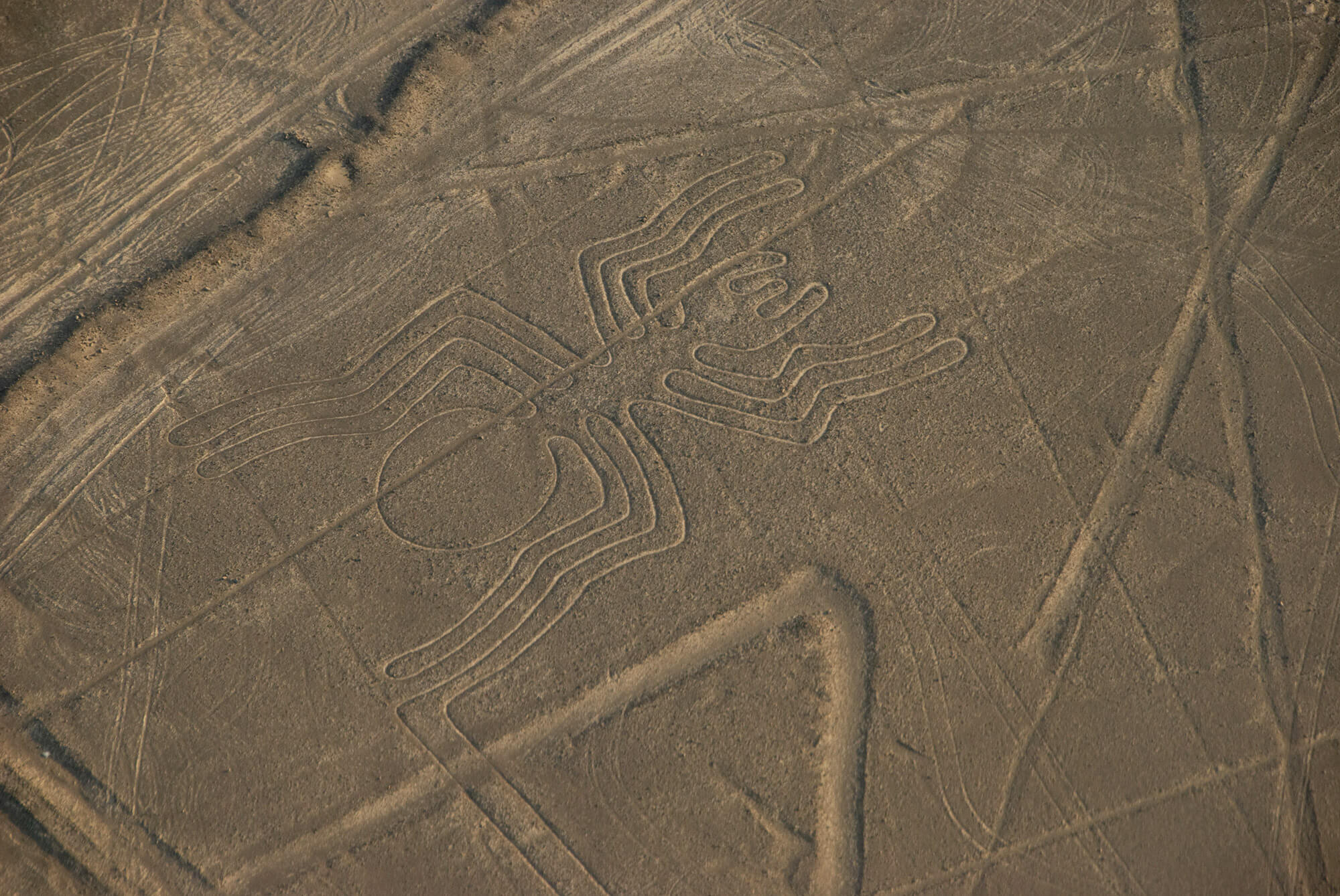 Nazca Lines